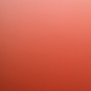 Meet your Posher, Kayli